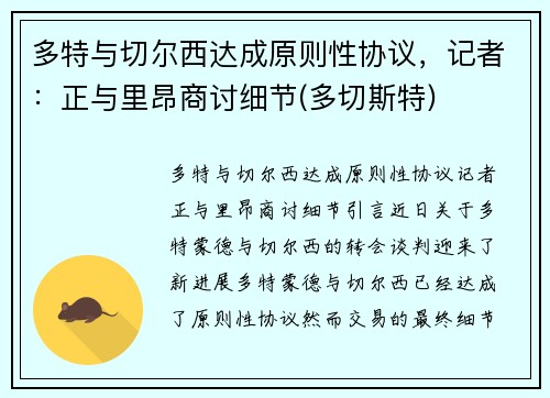 多特与切尔西达成原则性协议，记者：正与里昂商讨细节(多切斯特)