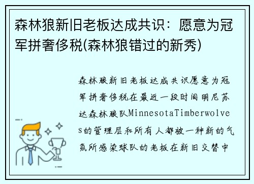 森林狼新旧老板达成共识：愿意为冠军拼奢侈税(森林狼错过的新秀)
