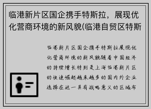 临港新片区国企携手特斯拉，展现优化营商环境的新风貌(临港自贸区特斯拉工厂)